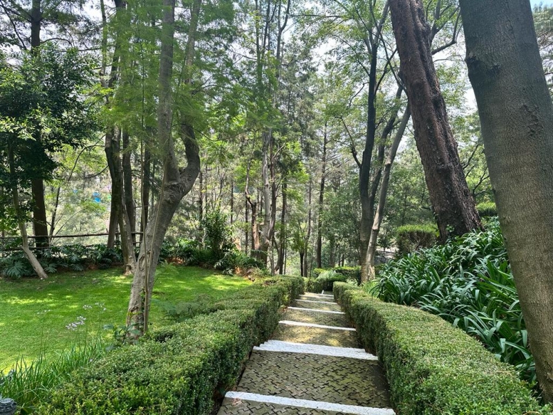 Departamento En Venta En Lomas Altas
