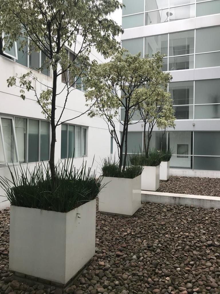 departamento en renta en polanco amueblado