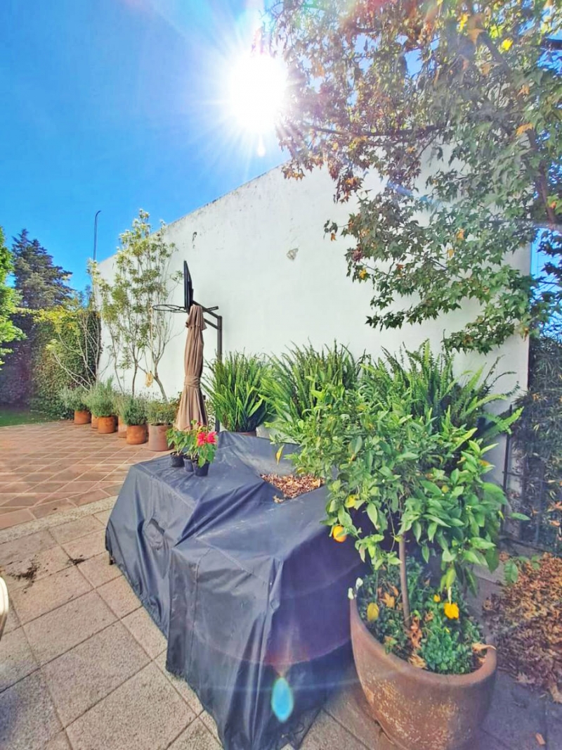 CASA VENTA, NABOR CARRILLO, ÁLVARO OBREG�?N