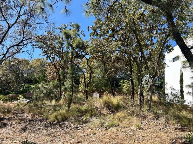 Terreno En Venta En El Cielo Country Club