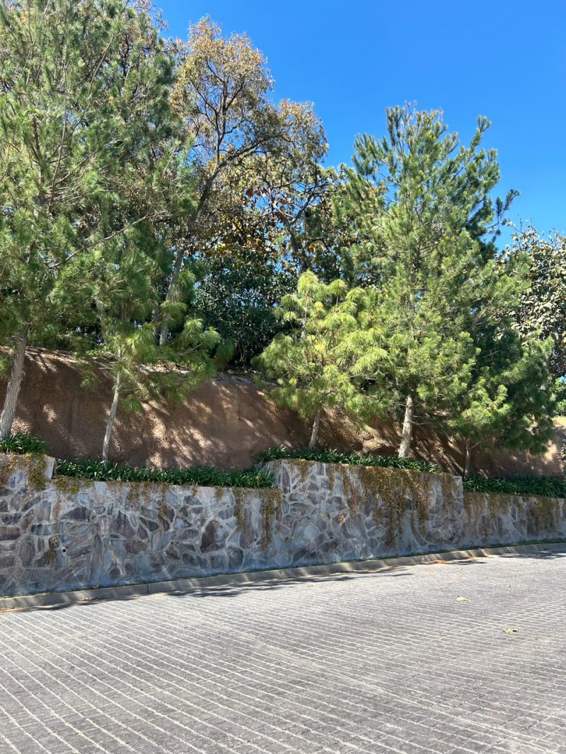 Terreno En Venta En El Cielo Country Club