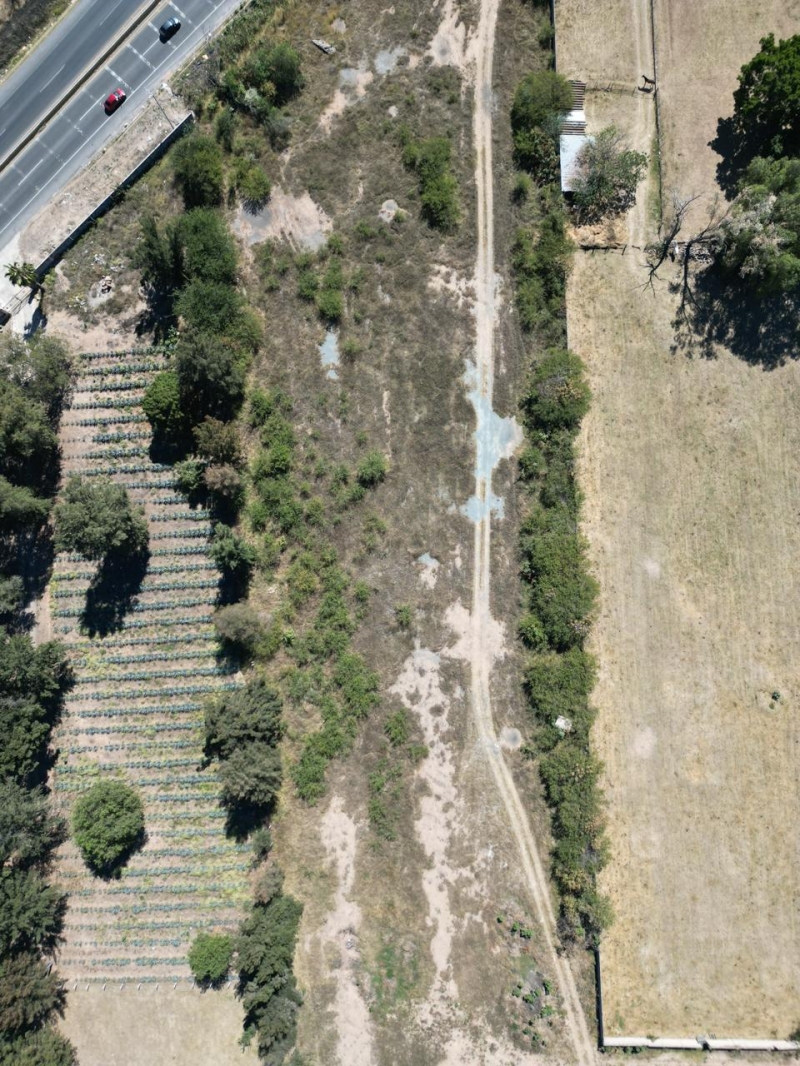 Se Renta Increible Terreno Sobre Carretera Colotlan