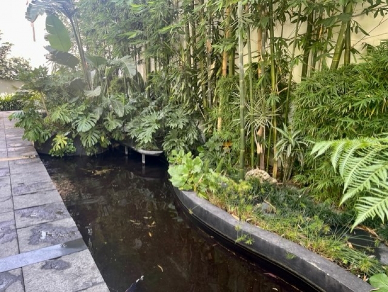 RENTA CASA EN PRIVADA - AMUEBLADA Y EQUIPADA - BOSQUE DE TECAS - BOSQUES DE LAS LOMAS 