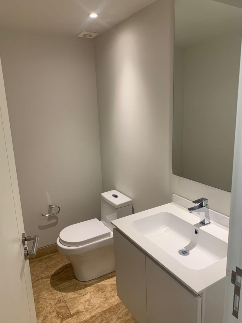 RENTA DEPARTAMENTO  CON TERRAZA - LAMARTINE - POLANCO