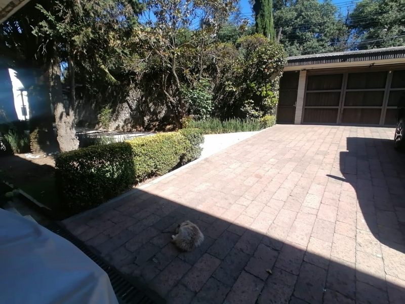 Casa en Renta en Contadero