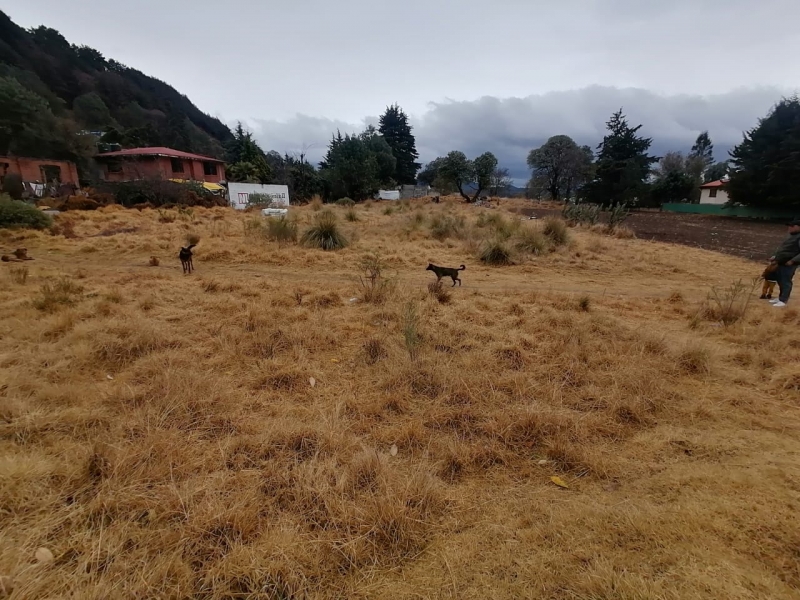 terreno en renta en ocoyoacac 