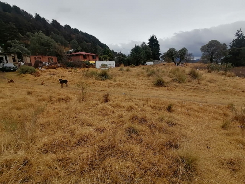 terreno en renta en ocoyoacac 