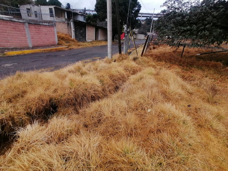 terreno en renta en ocoyoacac 