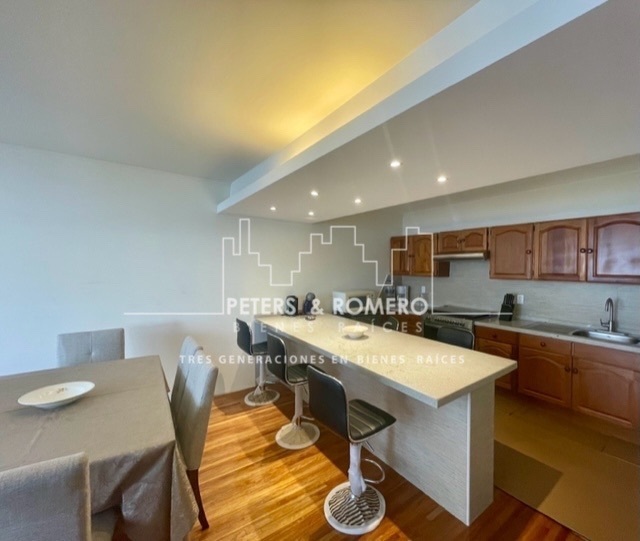 * departamento de estilo clásico a pasos de polanco *