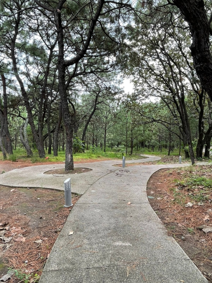 SE VENDEN INCREIBLES DEPARTAMENTOS EN AVATERRA NATURAL LIVING