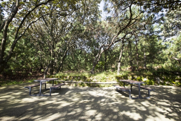 SE VENDEN INCREIBLES DEPARTAMENTOS EN AVATERRA NATURAL LIVING