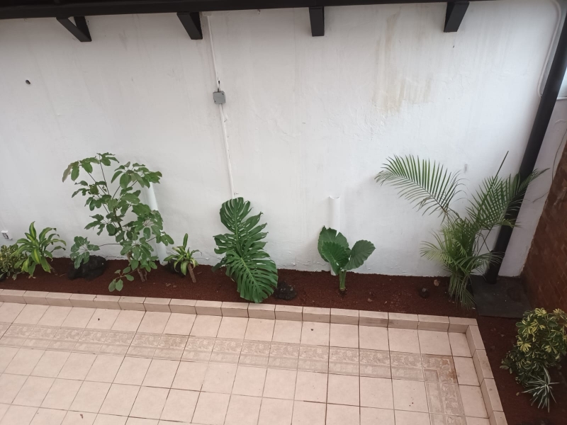 Casa En Venta En Lomas De Las Águilas