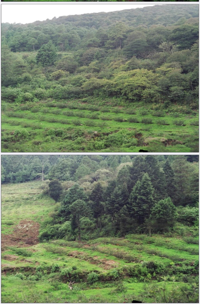 venta  rancho  en pachuca