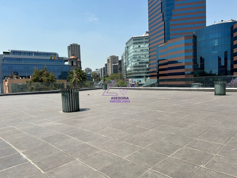 Local en Roof Garden en Renta en Lomas de Chapultepec