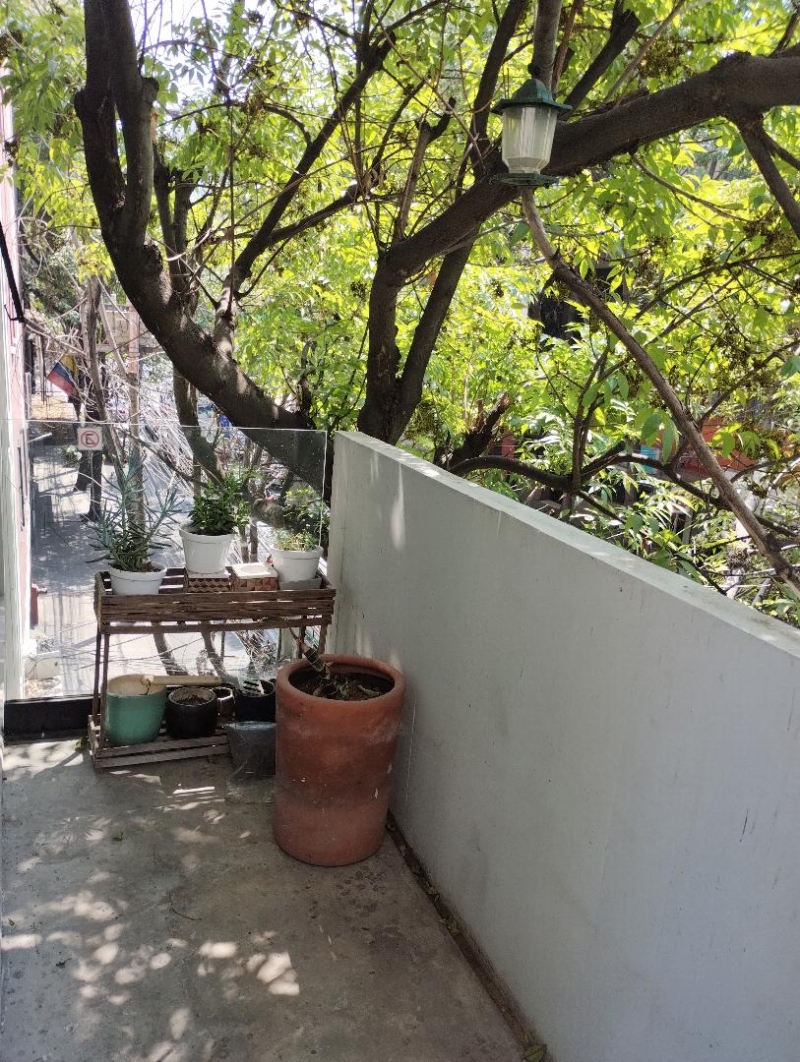Departamento En Renta En Roma Norte