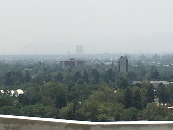 Edificio En Renta Nuevo Insurgentes Sur Super