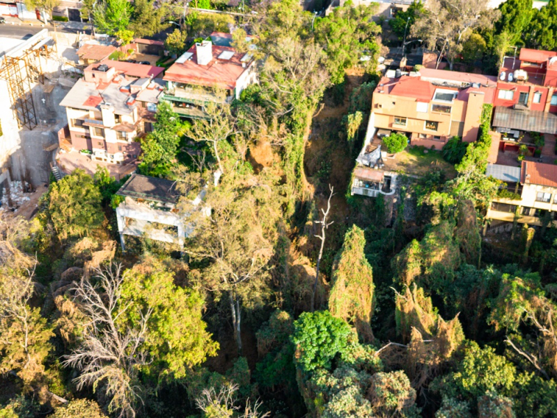 Terreno En Venta En Lomas Altas
