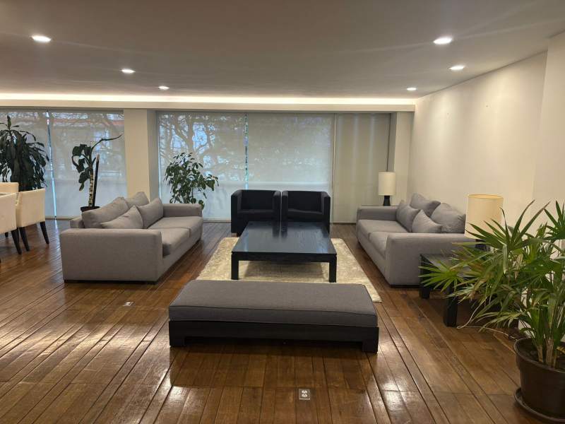  Departamento En Renta En Lamartine AMUEBLADO