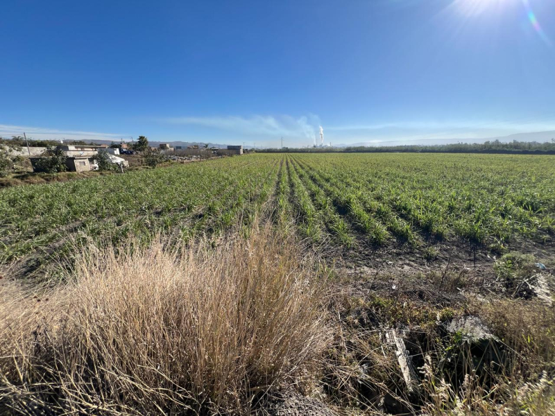 Se Vende Increible Terreno En Tala Con Acceso Por Carretera Perfecto Para Proyecto Industrial