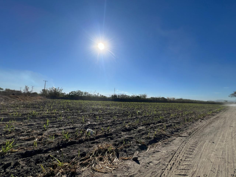 Se Vende Increible Terreno En Tala Con Acceso Por Carretera Perfecto Para Proyecto Industrial