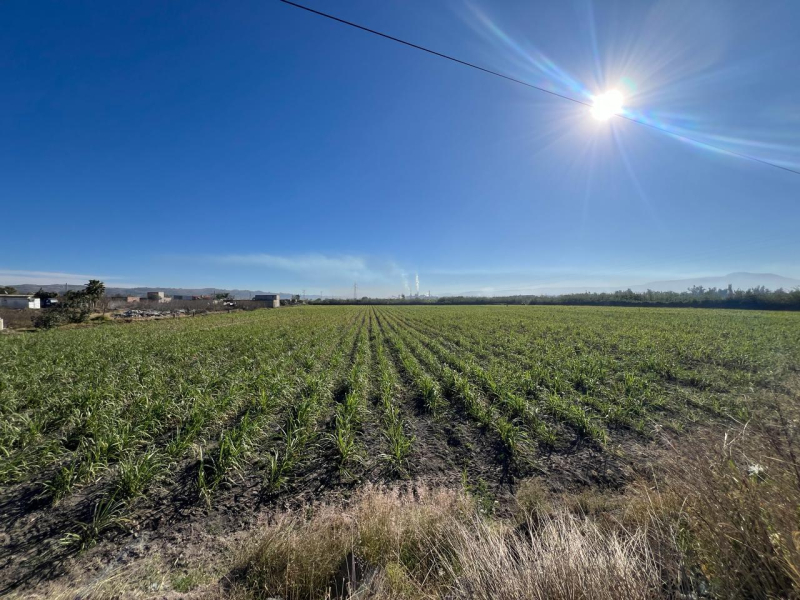Se Vende Increible Terreno En Tala Con Acceso Por Carretera Perfecto Para Proyecto Industrial