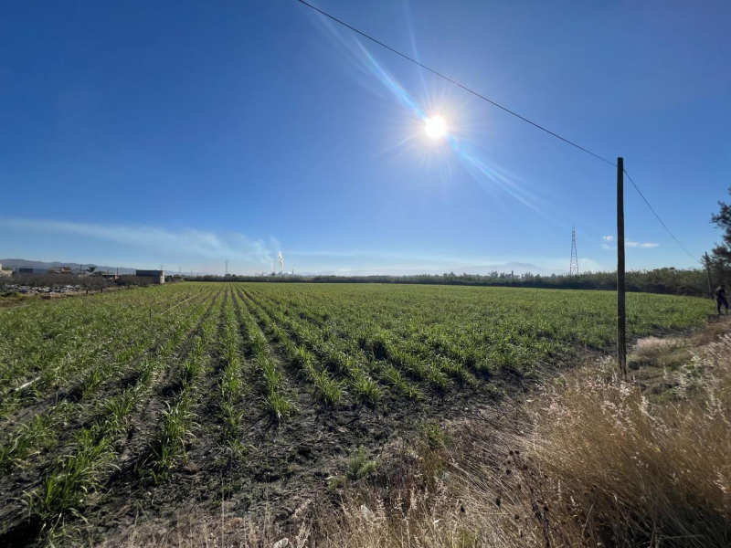 Se Vende Increible Terreno En Tala Con Acceso Por Carretera Perfecto Para Proyecto Industrial