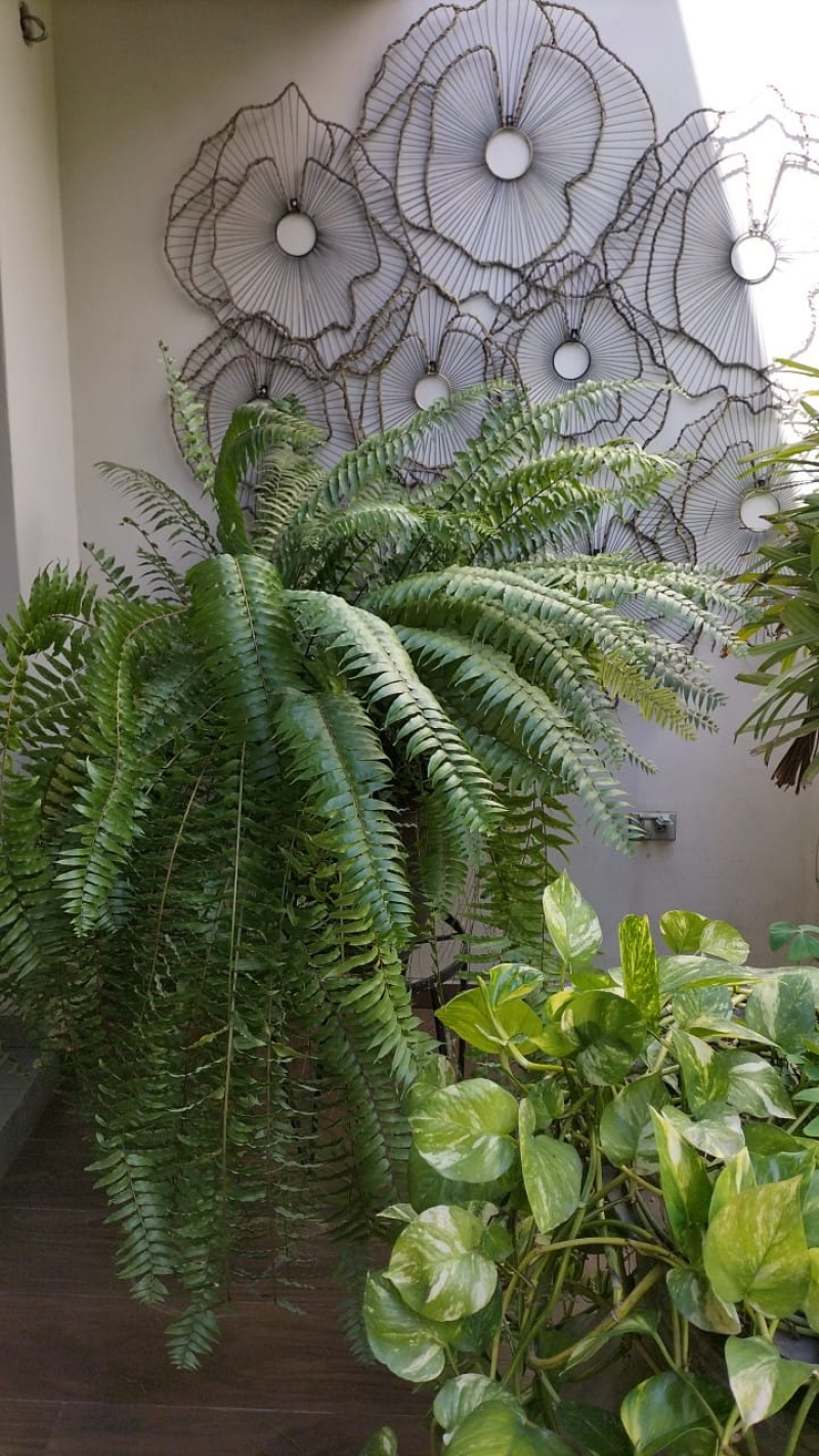 Departamento En Renta Y Venta En Polanco 