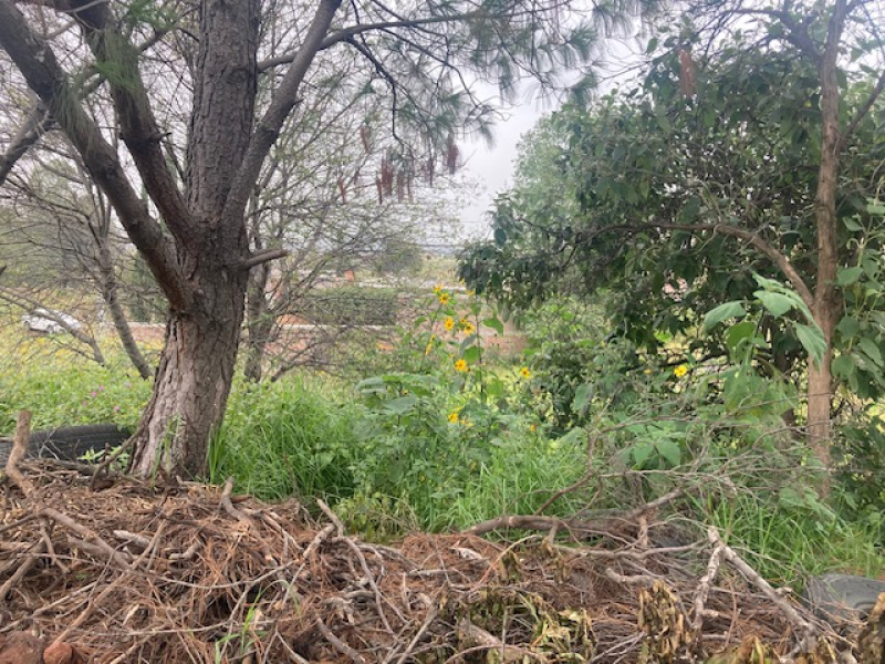 Terreno En Venta En Tenango Del Aire Estado De Mexico