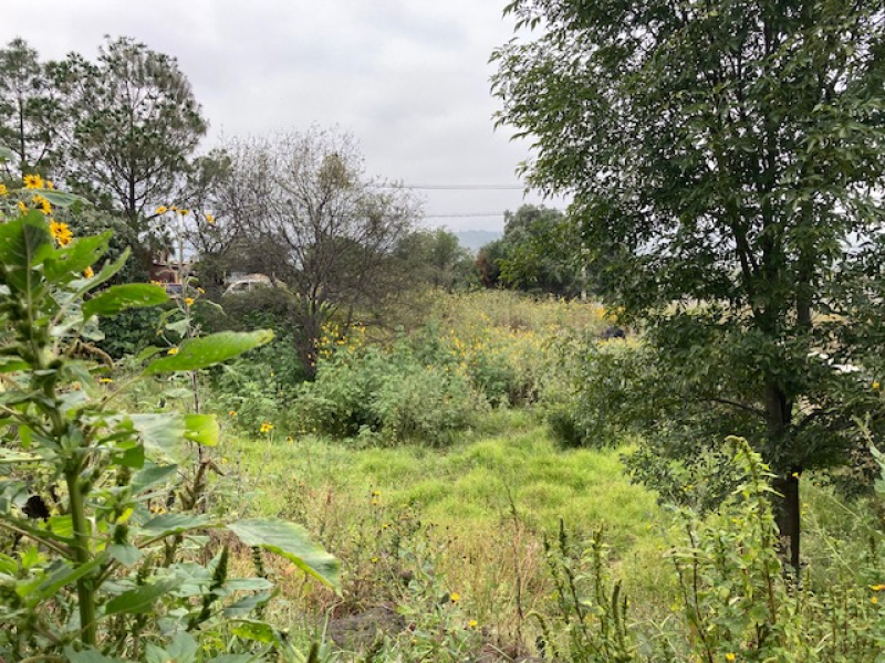Terreno En Venta En Tenango Del Aire Estado De Mexico