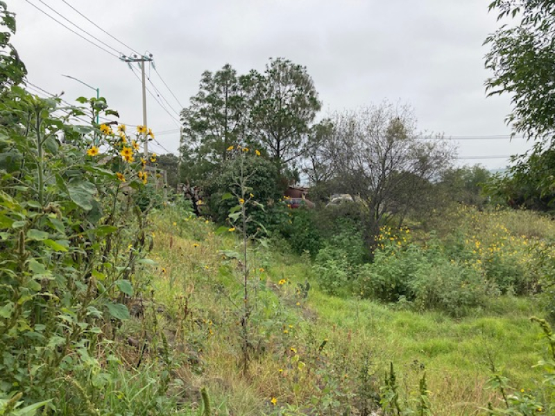 Terreno En Venta En Tenango Del Aire Estado De Mexico