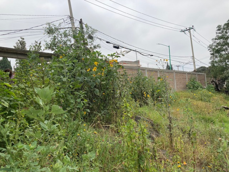 Terreno En Venta En Tenango Del Aire Estado De Mexico