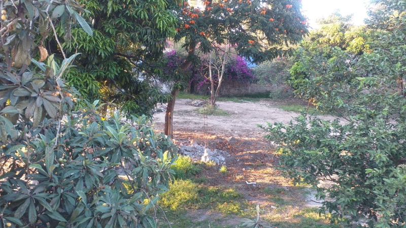Casa En Venta En Las Fuentes En Zapopan