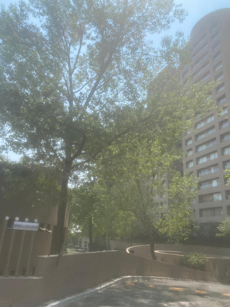 departamento en venta en lomas de santa fe