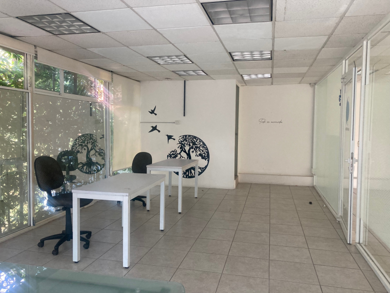 Oficina En Renta En Av. Universidad