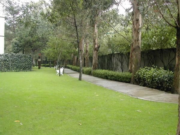 Departamento en Venta Lomas de Chapultepec para Inversionistas