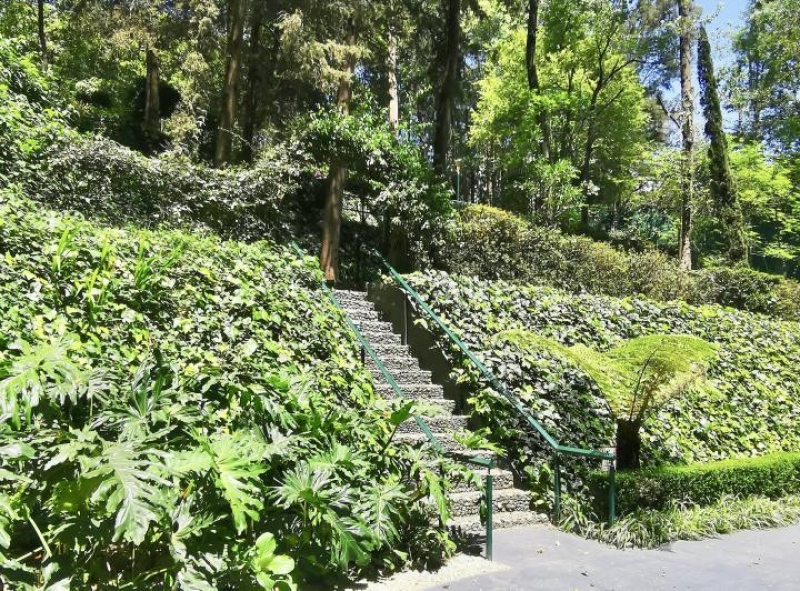 RENTA CASA EN CONDOMINIO-BOSQUES DE REFORMA-BOSQUES DE LAS LOMAS