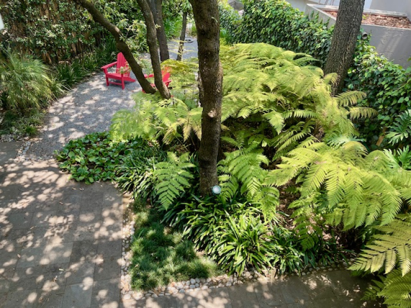 RENTA CASA EN CONDOMINIO-BOSQUES DE REFORMA-BOSQUES DE LAS LOMAS