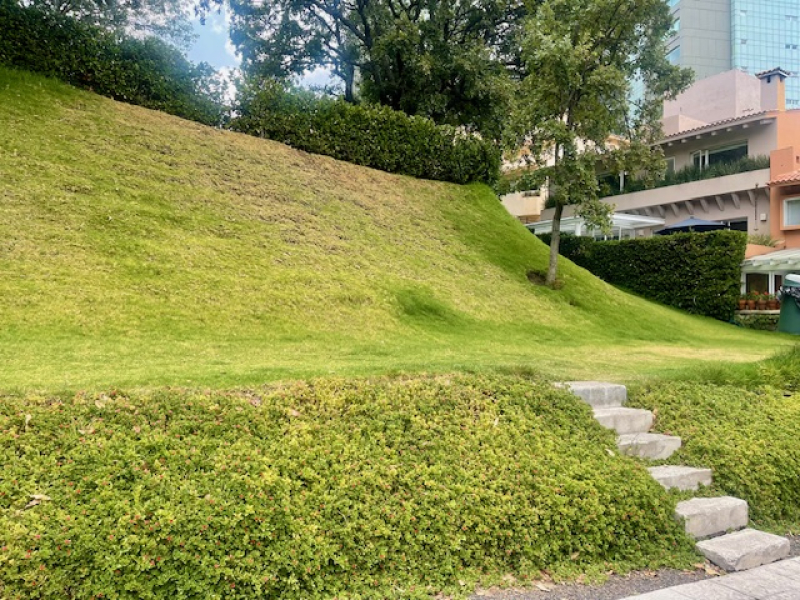 RENTA CASA EN CONDOMINIO-BOSQUES DE REFORMA-BOSQUES DE LAS LOMAS