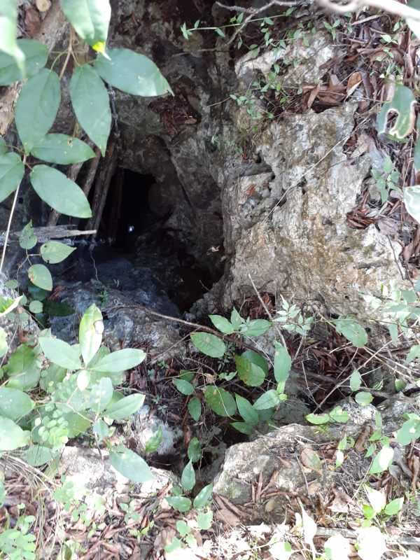 Terreno con cenote en Venta en XTUT, Valladolid YucatÃ¡n