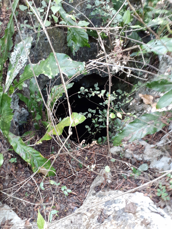 Terreno Con Cenote En Venta En XTUT, Valladolid Yucatán