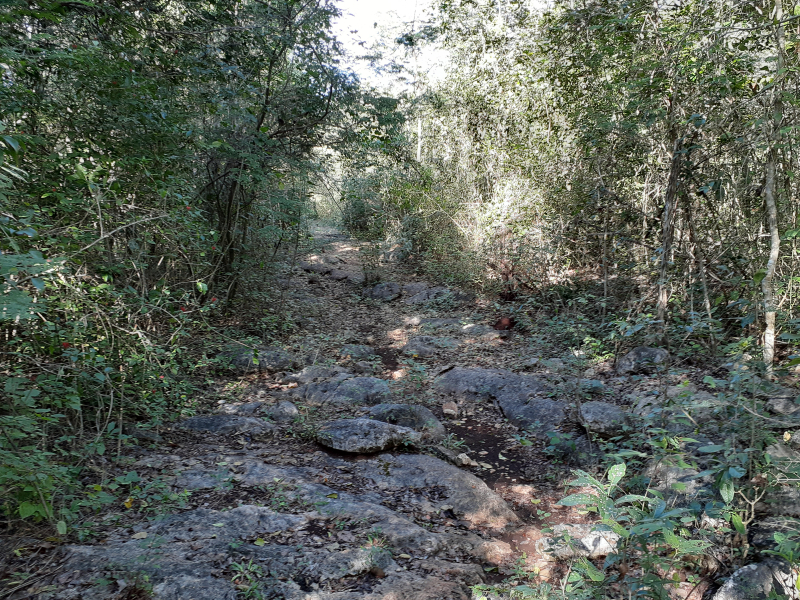 Terreno Con Cenote En Venta En XTUT, Valladolid Yucatán
