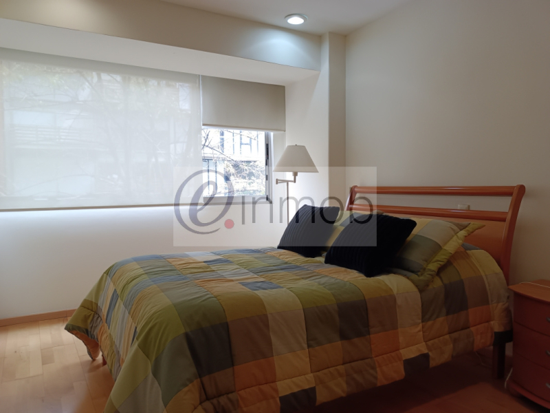 Renta Departamento Amueblado Polanco, Temistocles, Con Balcón