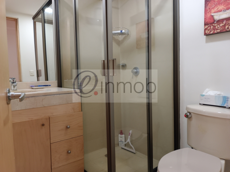 Renta Departamento Amueblado Polanco, Temistocles, Con Balcón