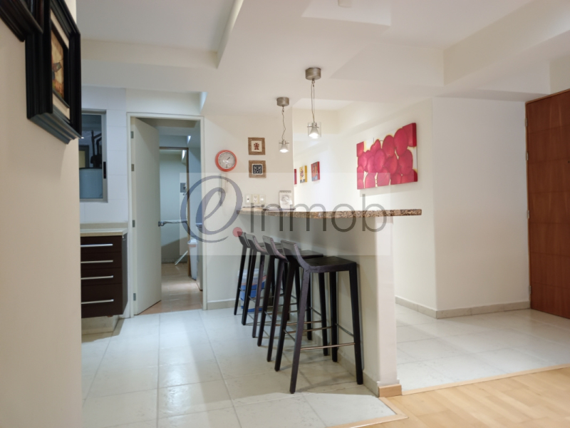 Renta Departamento Amueblado Polanco, Temistocles, Con Balcón