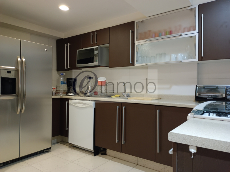 Renta Departamento Amueblado Polanco, Temistocles, Con Balcón