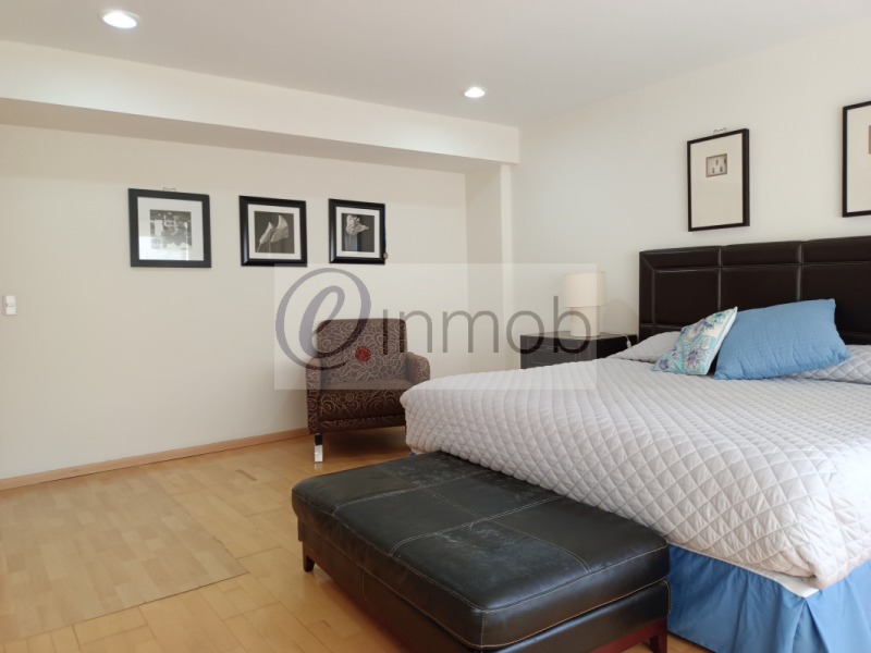 Renta Departamento Amueblado Polanco, Temistocles, Con Balcón