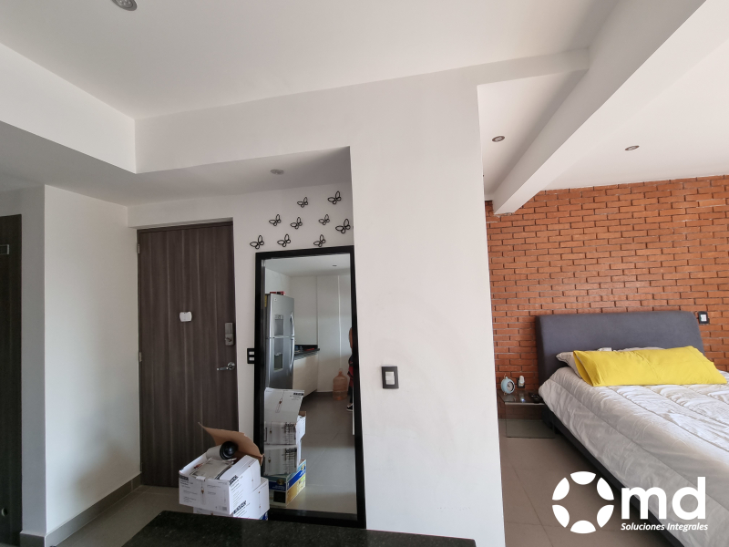 Departamento Amueblado  En Renta En Roma Norte