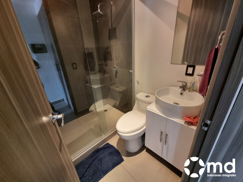 Departamento Amueblado  En Renta En Roma Norte