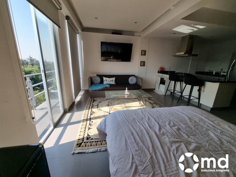Departamento Amueblado  En Renta En Roma Norte