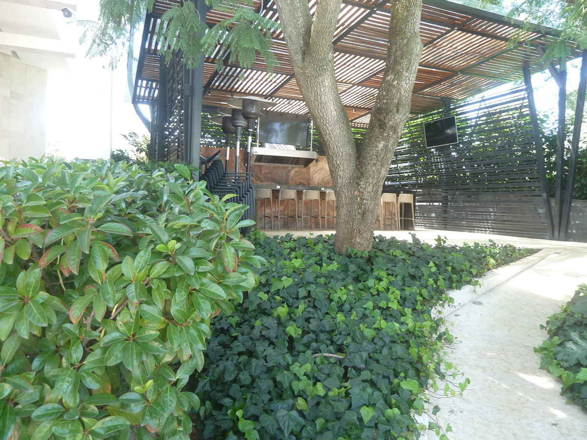 departamento en renta  en frondoso 1